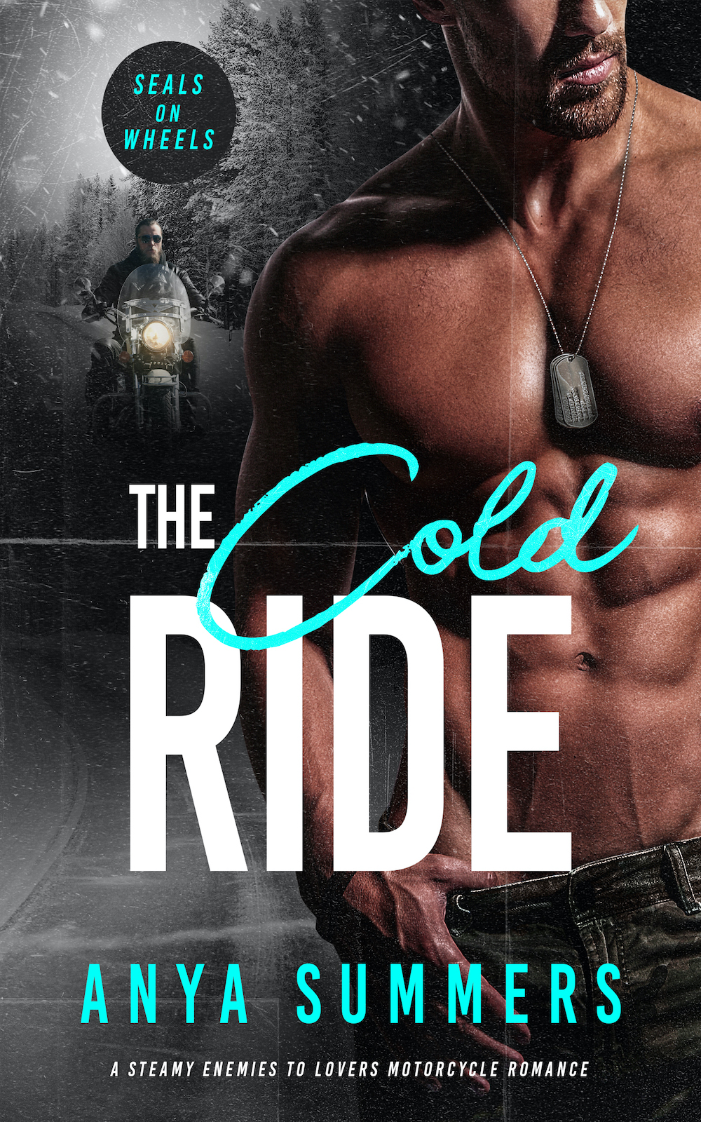 COVER REVEAL: THE COLD RIDE BY ANYA SUMMERS BOOK #2 IN SEALs ON WHEELS SERIES